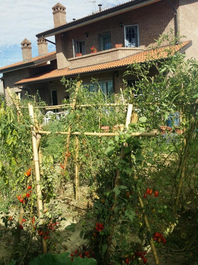 B&B Casa Dei Camini Bentivoglio Kültér fotó