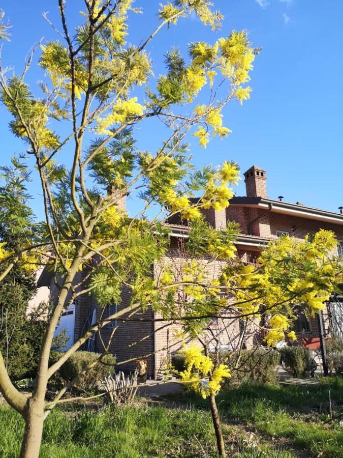 B&B Casa Dei Camini Bentivoglio Kültér fotó